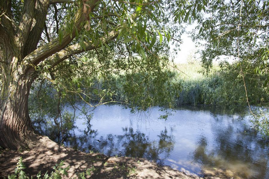 Abbey Farm Glamping & Cottage Thame Quarto foto