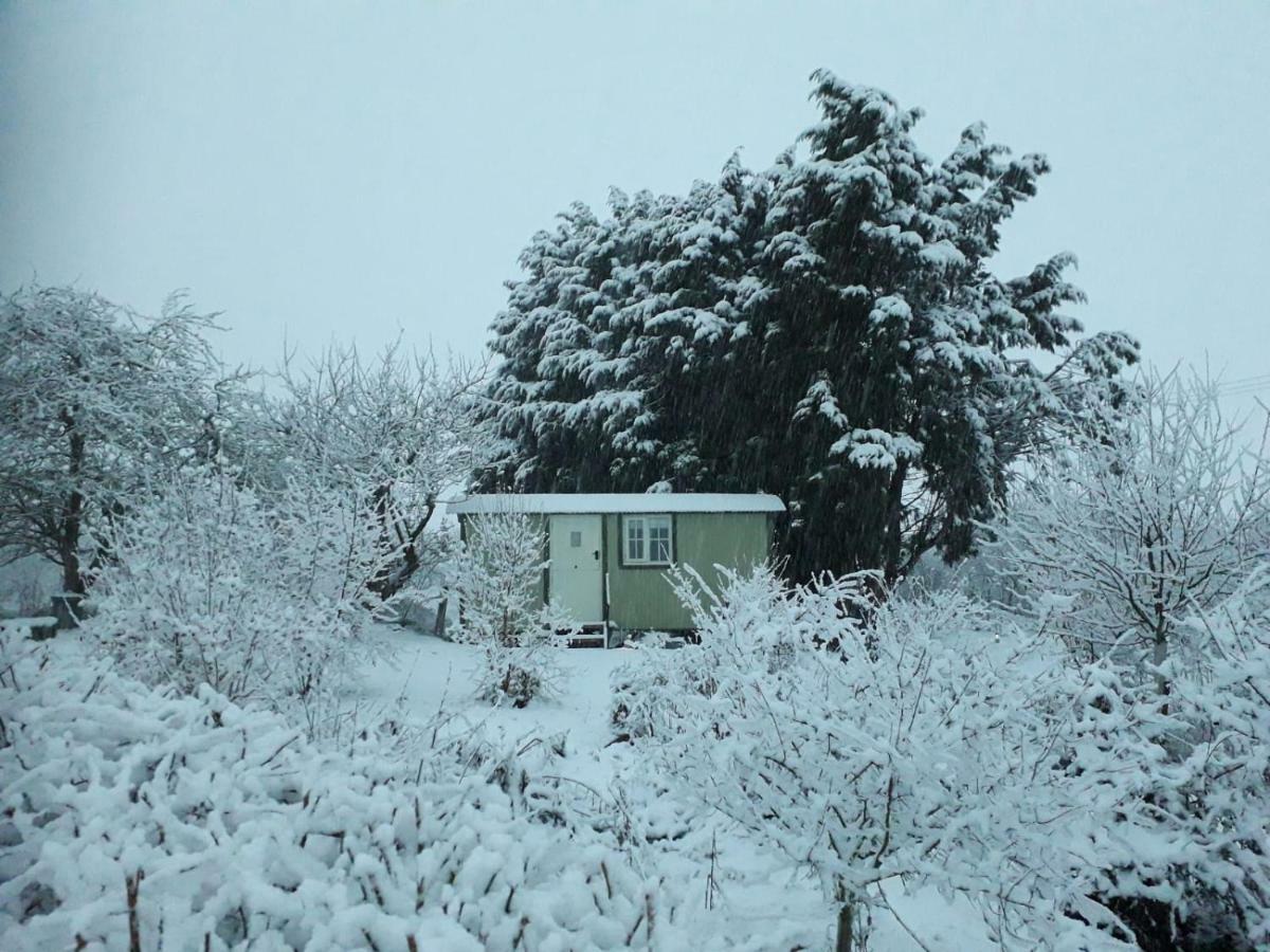 Abbey Farm Glamping & Cottage Thame Exterior foto